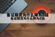 鲁证期货手续费高怎么调底，鲁证期货为什么降为B级
