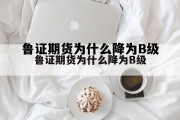 期货风险等级划分5个等级，鲁证期货为什么降为B级