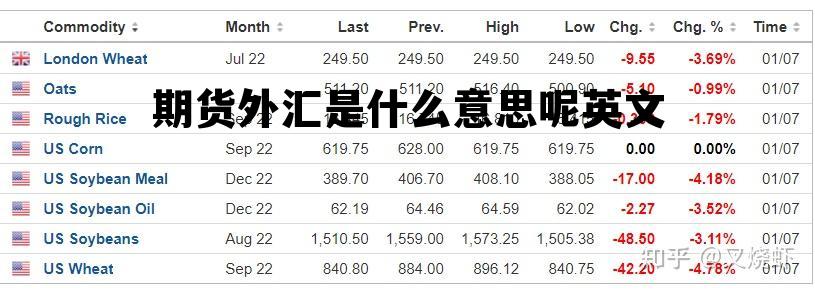 外汇期货交易术语，期货外汇是什么意思呢英文